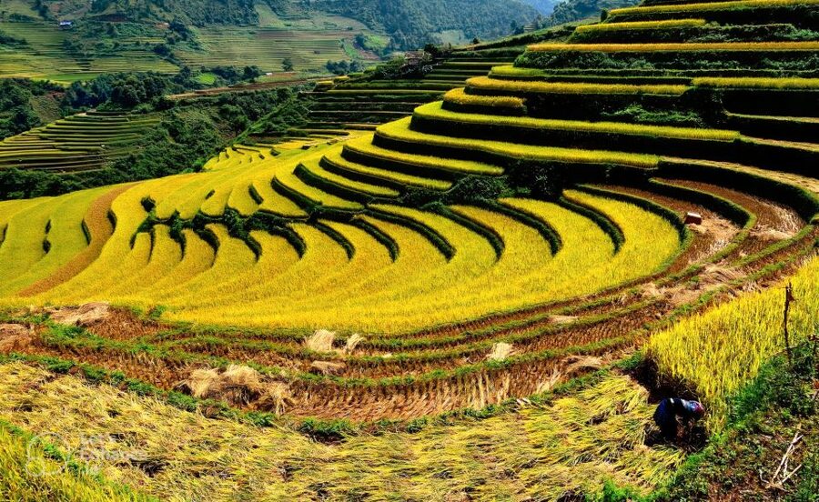 From Hanoi: 2-Day Sapa-Fansipan Peak & Trek & Ha Giang Bus - Price and what to budget, especially the cable car ticket