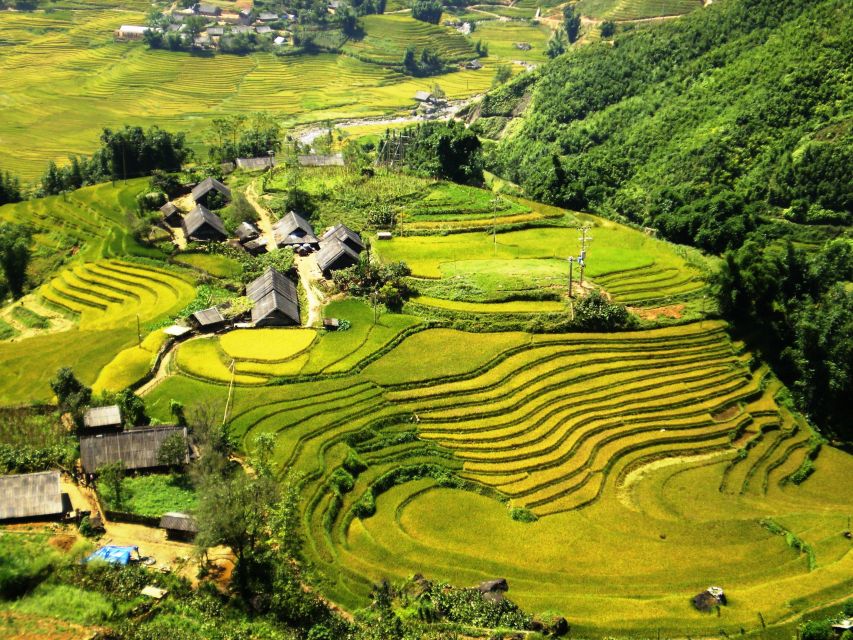 From Hanoi: 2-Day Sapa Trekking Trip with Homestay & Meals - Day 2: start with breakfast, then pick farming work or the bamboo forest hike