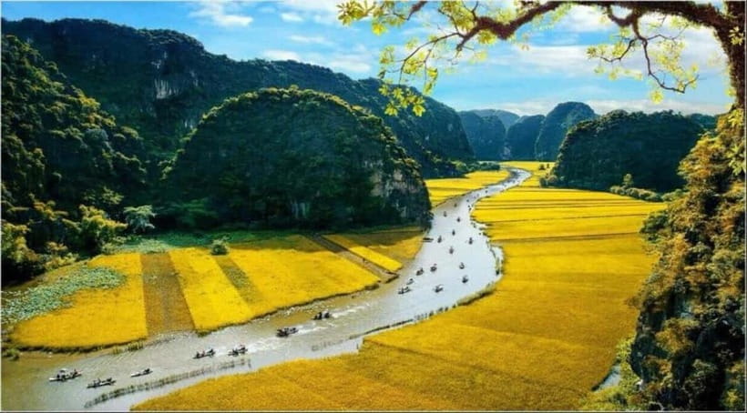 From Hanoi: Bai Dinh,Trang An and Mua Cave Trip - Lunch at Ninh Binh Excursion Restaurant: buffet basics that actually matter