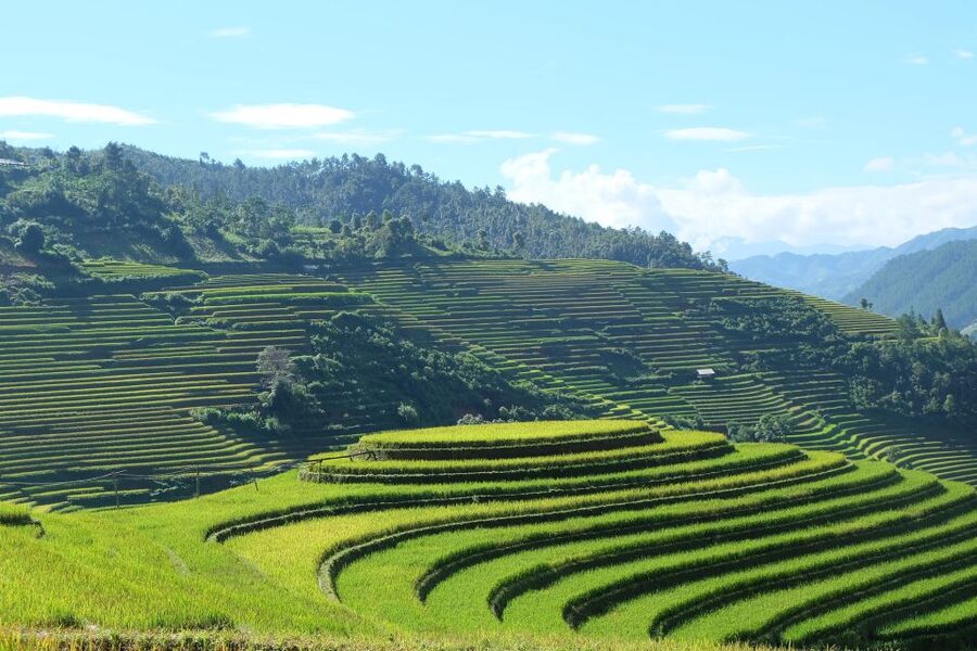 From Hanoi: Explore Sapa 2-Day Tour - Meals, Entrance Tickets, and What the $105 Value Really Includes
