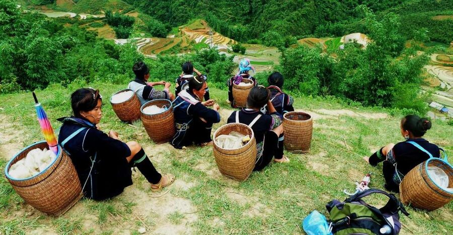 From Hanoi: Explore Sapa 2-Day Tour - Night on the Sleeper Bus and Overnight Check-In in Sapa