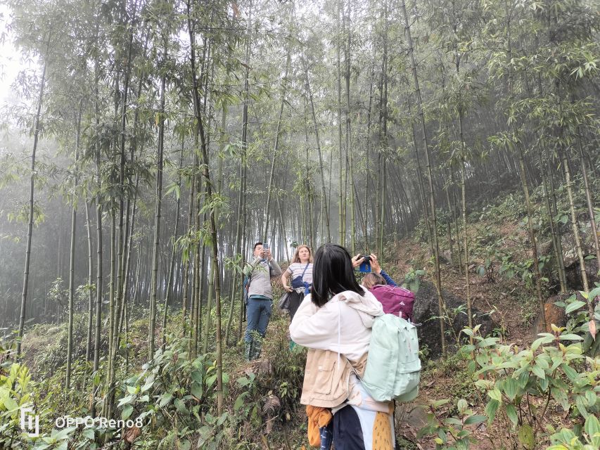 From Hanoi: Guided 2-Day Tour of Sa Pa with Lunch & Dinner - Price and Value, What $84 Actually Buys You