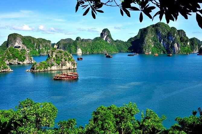 From Hanoi: Ha Long Bay Day tour 4-Star with Kayaking - From 7:30 am pickup in Hanoi’s Old Quarter