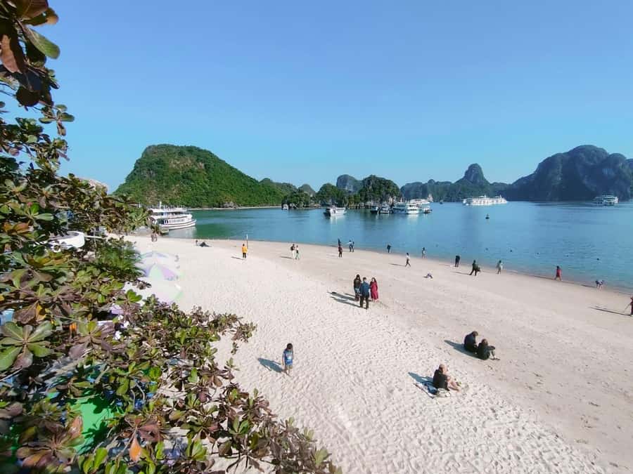 From Hanoi: Ha Long Bay Luxury Day Cruise with Food & Kayak - Sung Sot Cave: Big Interiors, Good Reason to Wear Good Shoes
