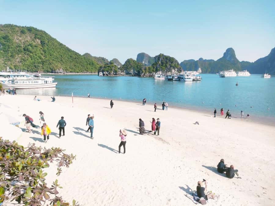 From Hanoi: Ha Long Bay Luxury Day Cruise with Food & Kayak - Luon Cave by Kayak or Bamboo Boat: Pick the Experience That Fits You