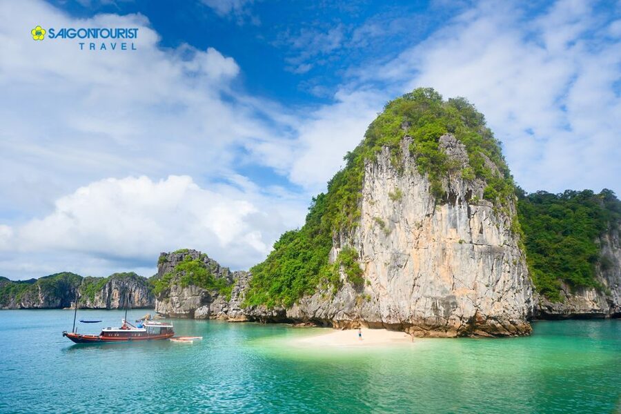 From Hanoi: Halong Bay Day Trip with Lunch and Transfers - Sunset tea on the cruise and the ride back to Hanoi