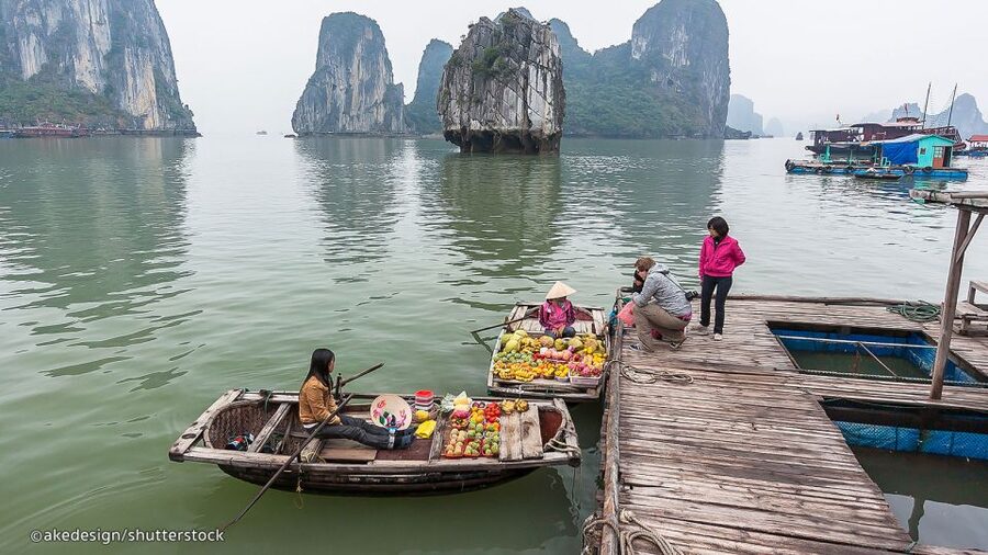 From Hanoi: Halong Bay Day Trip with Lunch and Transfers - Price and value: what $48 buys you in a single day