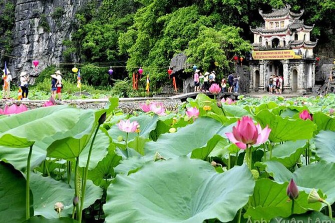 From Hanoi: Hoa Lu, Tam Coc, and Mua Cave Scenic Day Trip - Meeting at 7:30, Then Let the Guide Set the Tempo