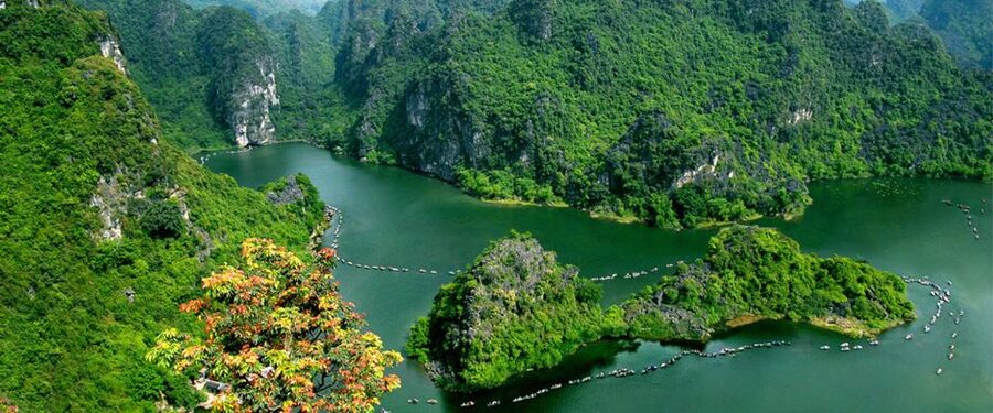 From Hanoi: Ninh Binh 2-Day Culture, Heritage & Scenic Tour - Tam Coc Biking Through Villages and Local Life