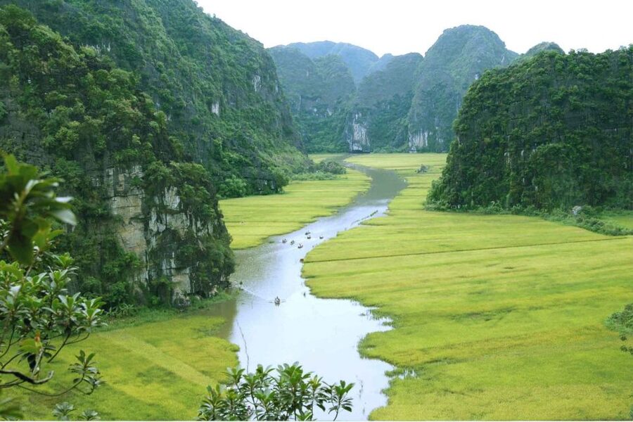From Hanoi: Ninh Binh & Cuc Phuong National Park 2-Day Tour - Mua Cave and the 500 Steps to Lying Dragon Mountain