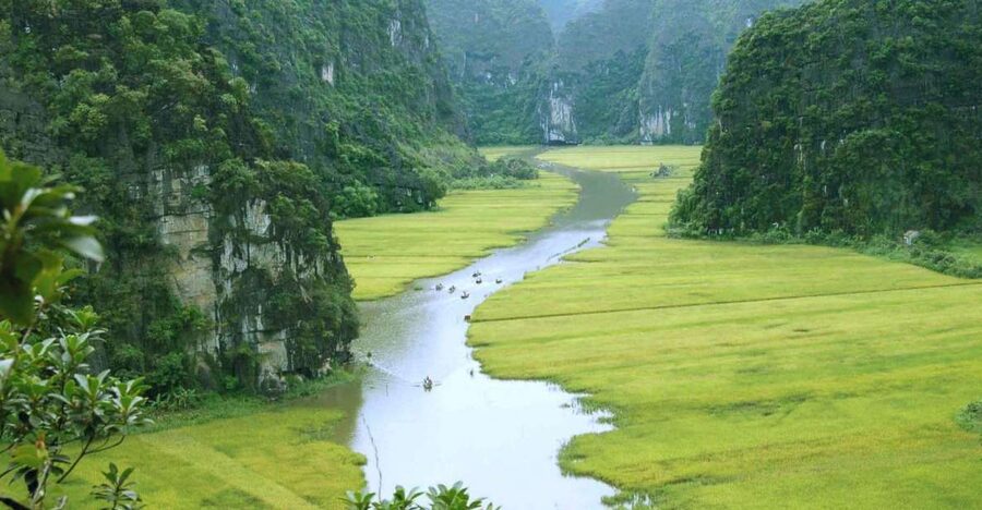 From Hanoi: Ninh Binh & Cuc Phuong National Park 2-Day Tour - Tam Coc by Boat Through Rice Fields and Limestone Caves