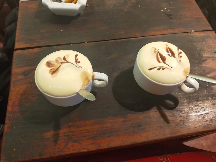 From Hanoi: Old Quarter Vegetarian Food Tour - Vegetarian reliability: how guides handle allergies and preferences
