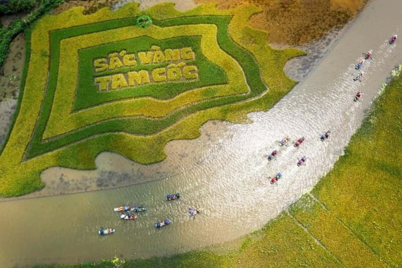 From Hanoi: Tam Coc Boat Trip and Hoa Lu & Mua Cave Tour - Key highlights to plan around