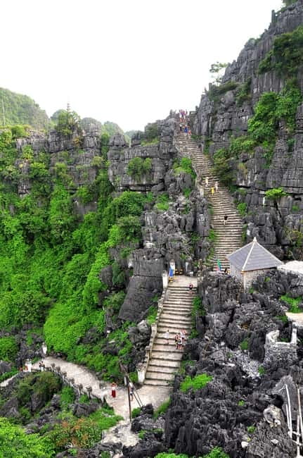 From Hanoi: Tam Coc Boat Trip and Hoa Lu & Mua Cave Tour - Best fit: who should book this tour