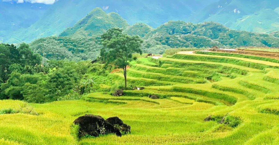 From Hanoi to Pu Luong: 2-Day Trip in Ethnic Villages - Why Pu Luong Feels Worth the Long Ride From Hanoi