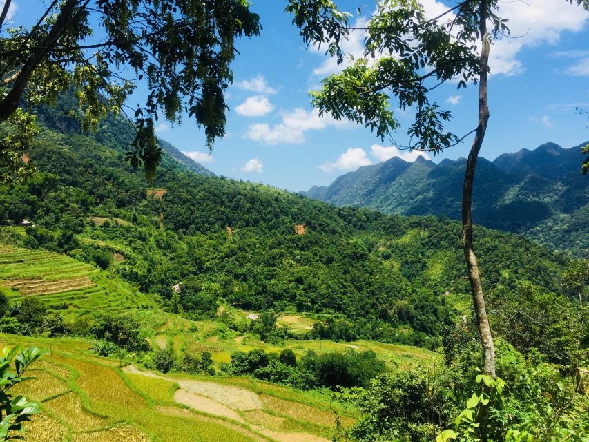 From Hanoi to Pu Luong: 2-Day Trip in Ethnic Villages - Price and Value: When $180 Makes Sense, and When It Might Not