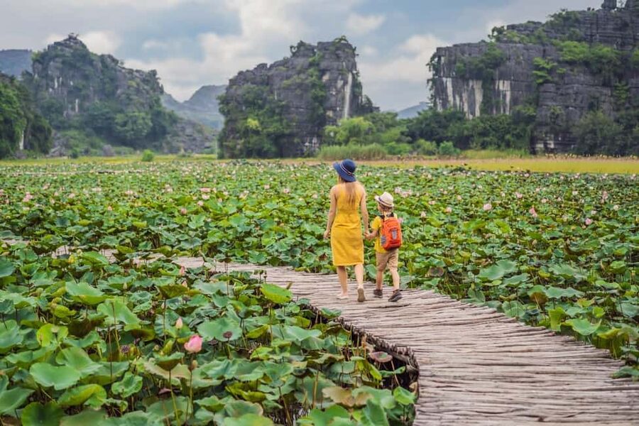 From Hanoi: Trang An Eco-tourism & Bai Dinh pagoda full day - Mua Cave at 3:30 PM: The Climb for Rice Valley Views