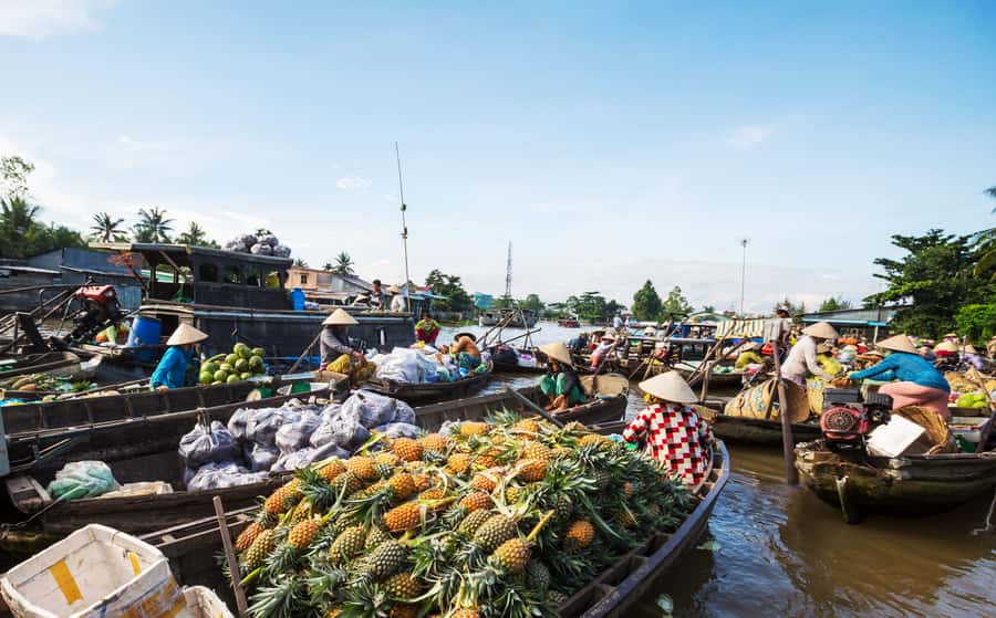 From HCM: Mekong Delta & Cai Rang Floating Market 2-Day Tour - Sampan Ride Through Ben Tre Coconut Canals