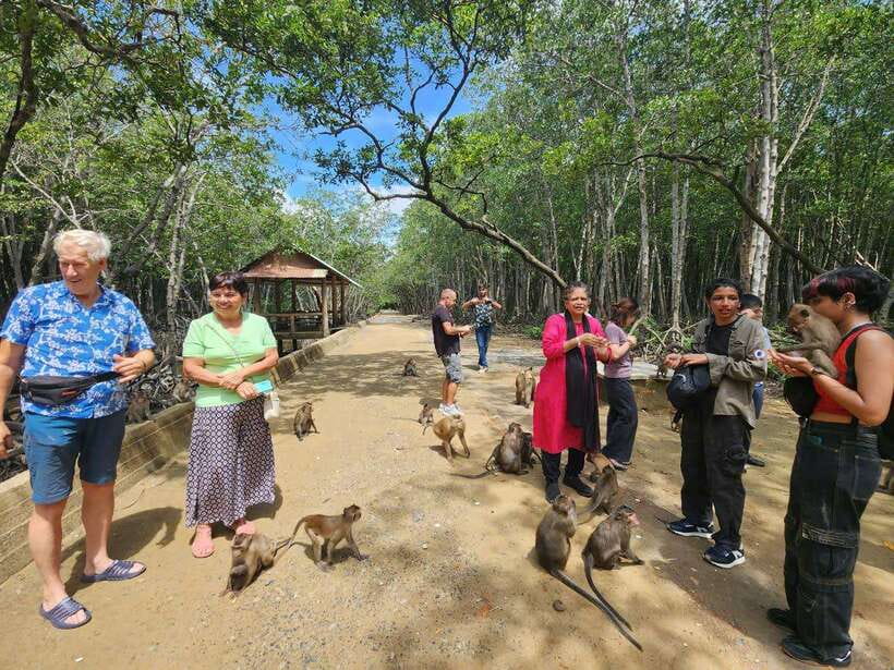From Ho Chi Minh: Can Gio Mangrove & Monkey Island Day Trip - Getting to Can Gio: Ferry Time, Pickup Zones, and a Real Schedule