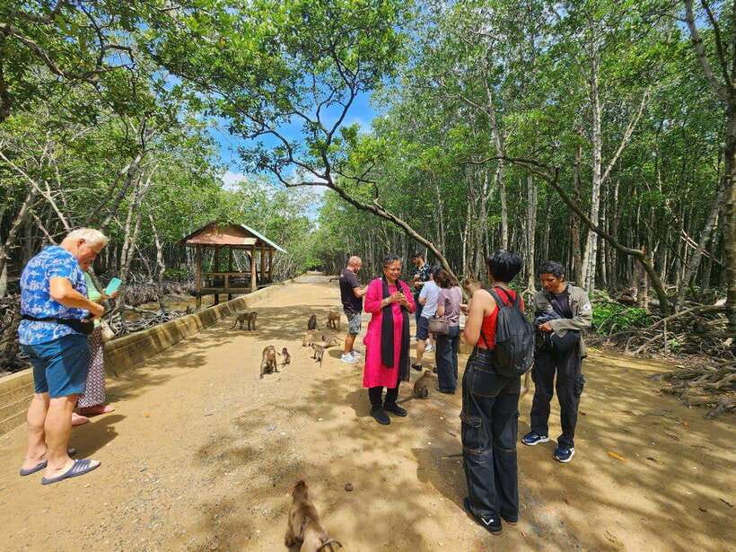 From Ho Chi Minh: Can Gio Mangrove & Monkey Island Day Trip - Crocodile Conservation Stop and Optional Crocodile Fishing
