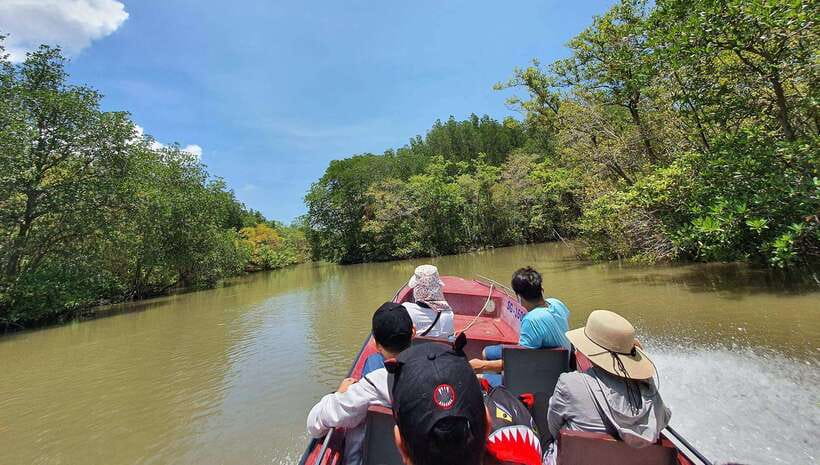 From Ho Chi Minh: Can Gio Mangrove & Monkey Island Day Trip - Sac Guerilla Camp: War-Era Vietnam History in a Mangrove Area