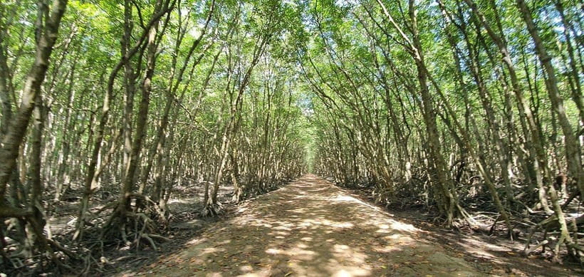 From Ho Chi Minh: Can Gio Mangrove & Monkey Island Day Trip - Price and Value: Why $51 Makes Sense for This Mix