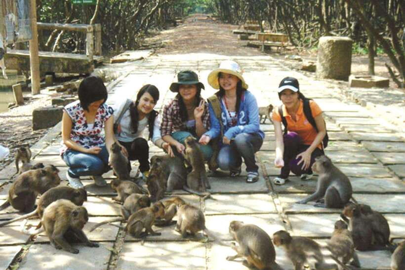 From Ho Chi Minh: Can Gio Mangrove & Monkey Island Day Trip - Who Should Book This, and Who Might Want Another Option