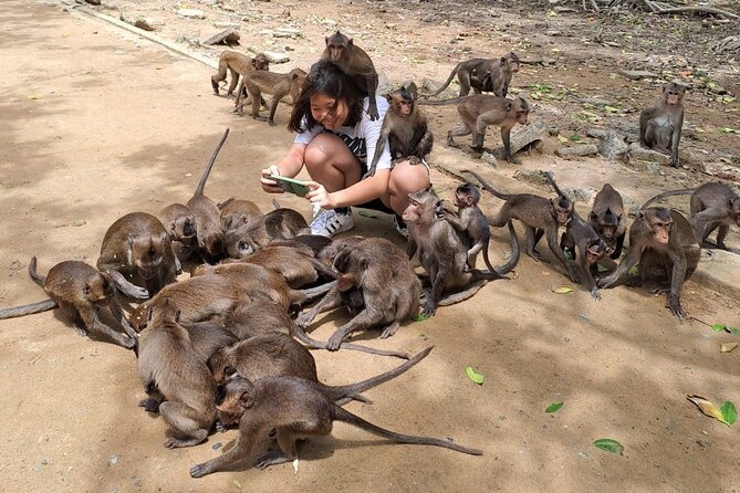 From Ho Chi Minh: Can Gio Trek – Monkey Island & Crocodile Farm - Hoa Ca Crocodiles and the Optional Speedboat Twist