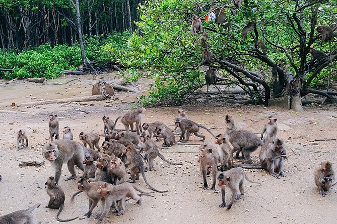 From Ho Chi Minh: Can Gio Trek – Monkey Island & Crocodile Farm - Rung Sac Military Base: War History in a Mangrove Setting