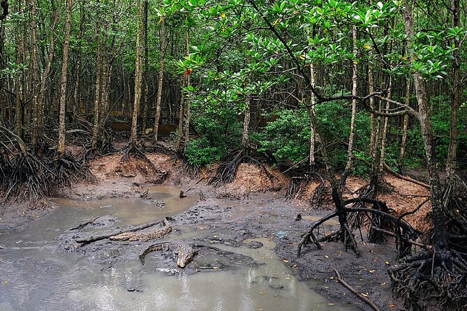 From Ho Chi Minh: Can Gio Trek – Monkey Island & Crocodile Farm - Price and Value: Why $28.50 Can Feel Like a Deal