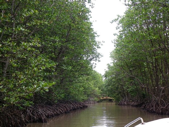 From Ho Chi Minh: Can Gio Trek – Monkey Island & Crocodile Farm - Getting There Smoothly: Pickup, Group Size, and Timing
