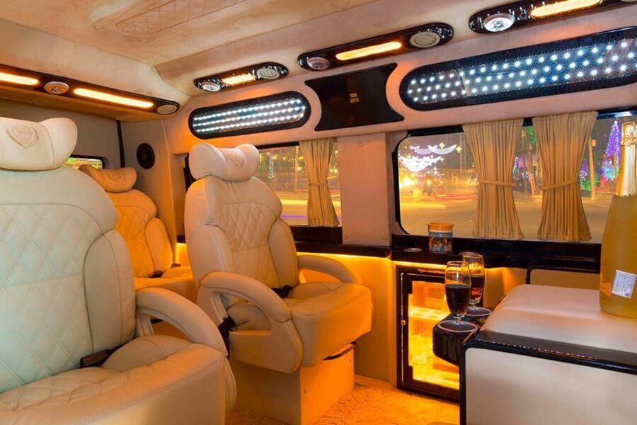 From Ho Chi Minh City: Mekong Delta VIP Tour by Limousine - Ho Chi Minh City to My Tho: 90 minutes through rice country