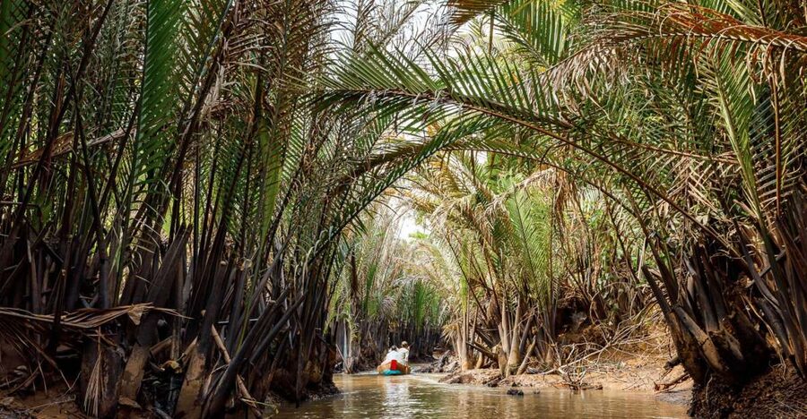 From Ho Chi Minh: Classic Mekong - My Tho, Ben Tre Full Trip - Key Highlights You Should Care About