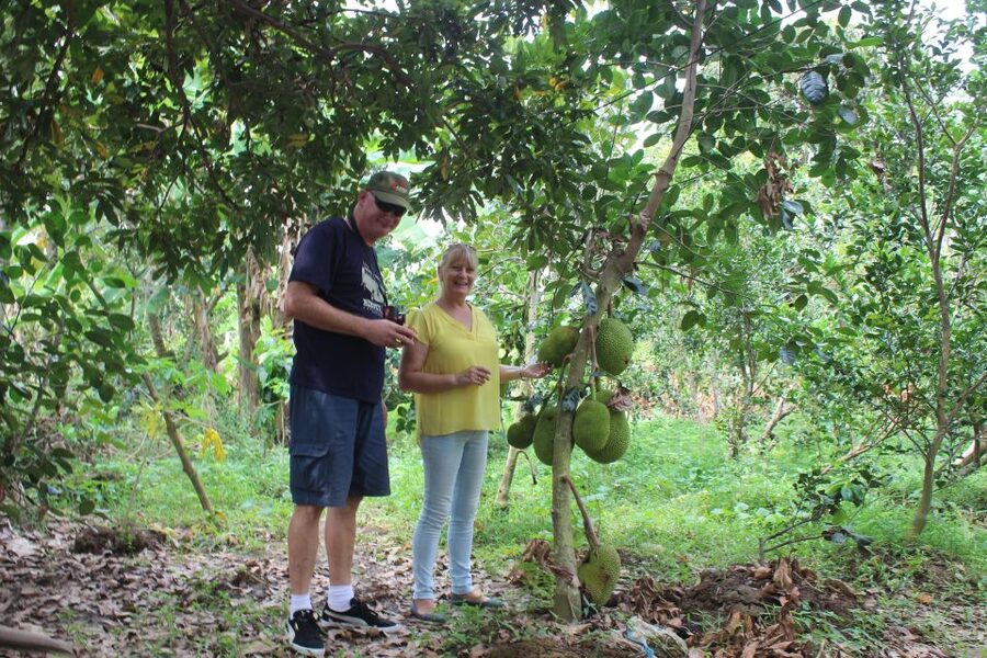 From Ho Chi Minh: Mekong Delta Private Day Tour - Coconut Candy Workshop and Don Ca Tai Tu Folk Music