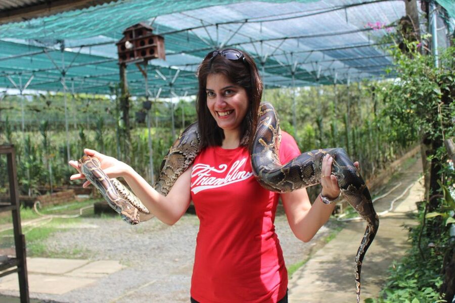 From Ho Chi Minh: Mekong Delta Private Day Tour - Food, Comfort, and the Real Value of the $104 Price