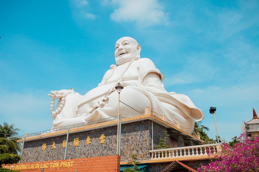 From Ho Chi Minh: Mekong Delta Private Day Tour - Honey Bee Farm and Honey Tea, with a Python Farm Option