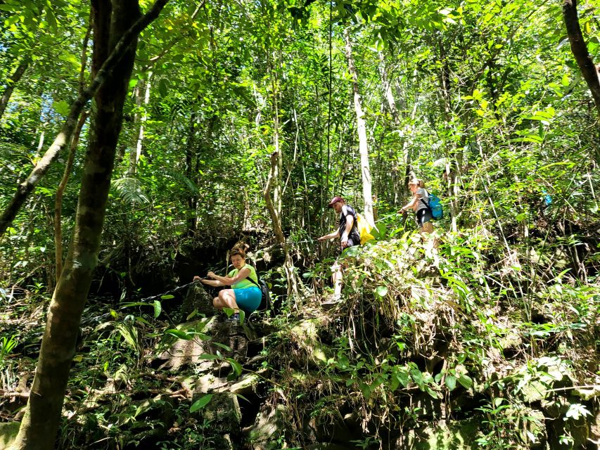 From Hue: Bach Ma National Park Hiking Day Trip with Pickup - Price and value: is $44 worth a full day in the park?