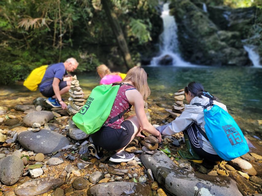 From Hue: Bach Ma National Park Hiking Day Trip with Pickup - From Hue or Da Nang to Bach Ma: why the transfer matters