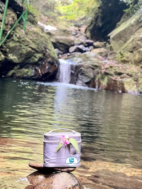 From Hue: Bach Ma National Park Tour with Picnic Lunch - Who this trip suits best
