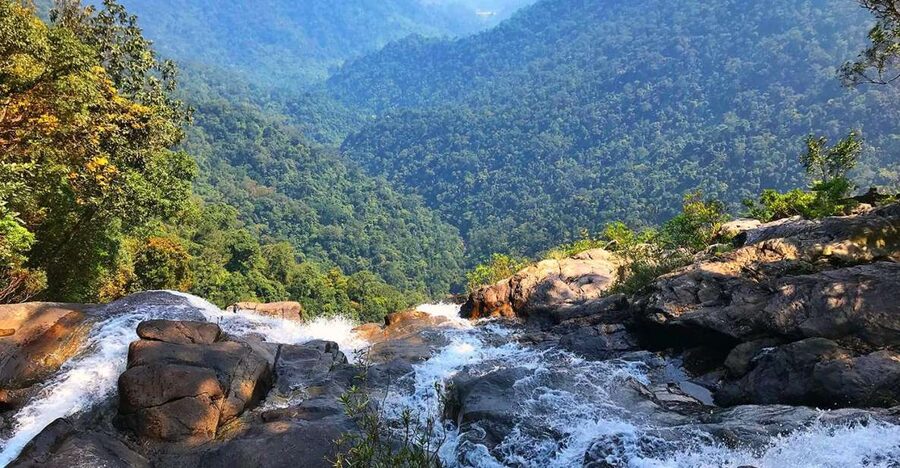 From Hue/Da Nang/Hoi An: Bach Ma National Park Trekking Tour - Routes and pace: easy vs adventure, and how to choose