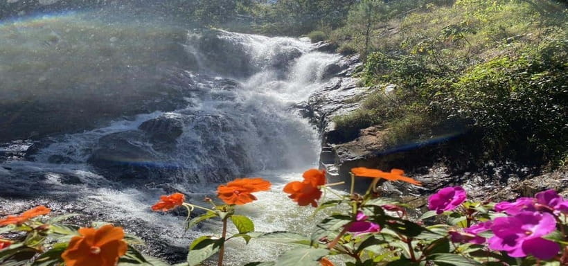 From Nha Trang: Best Seller Top Site Luxury Da Lat City Trip - The ride through coffee country sets the mood