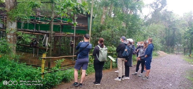 From Ninh Binh Small Group Discover Cuc Phuong National Park - Price and value: how $44 adds up for a nine-hour forest day