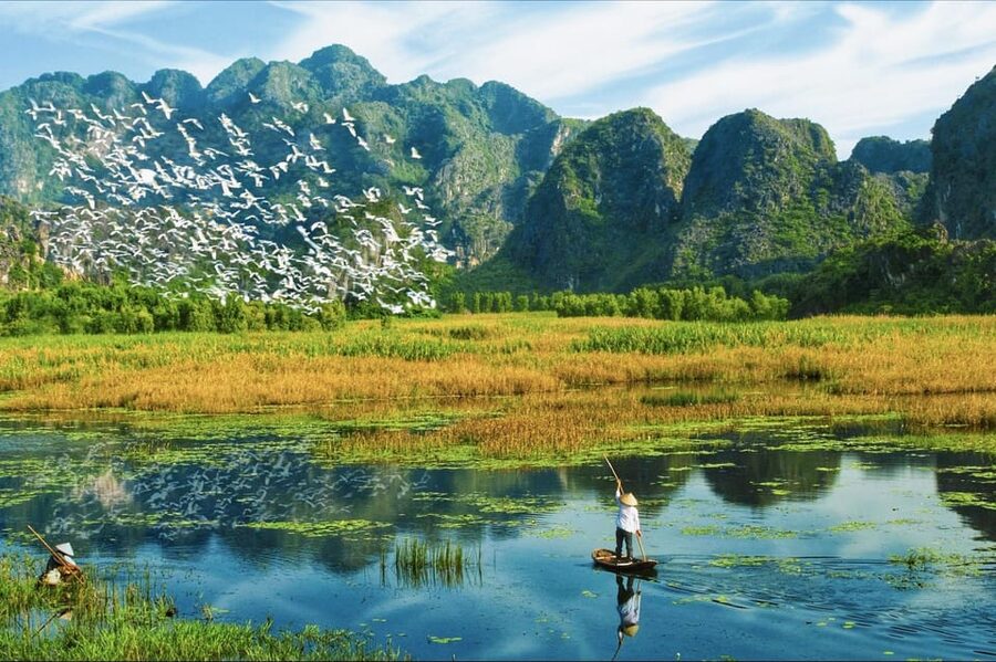 From Ninh Binh: Visit Cuc Phuong National Park - Van Long - Van Long wetland reserve at 15:40: rowing boat and wildlife spotting