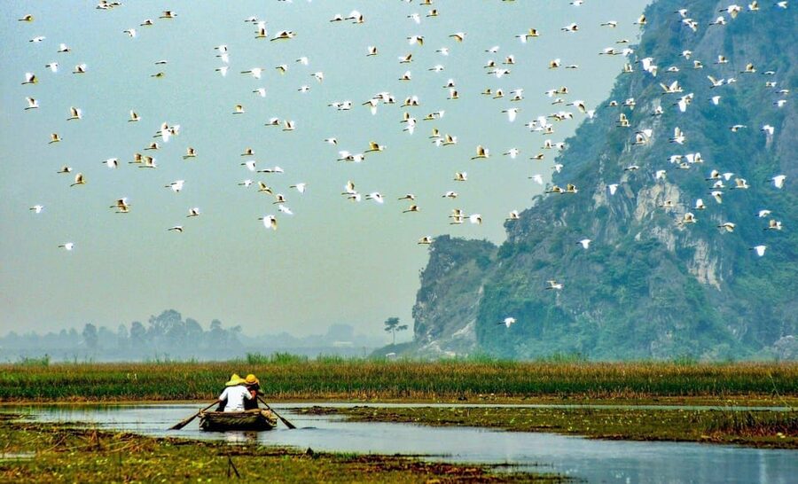 From Ninh Binh: Visit Cuc Phuong National Park - Van Long - Getting there smoothly: pickup, minivan transfer, and what to wear