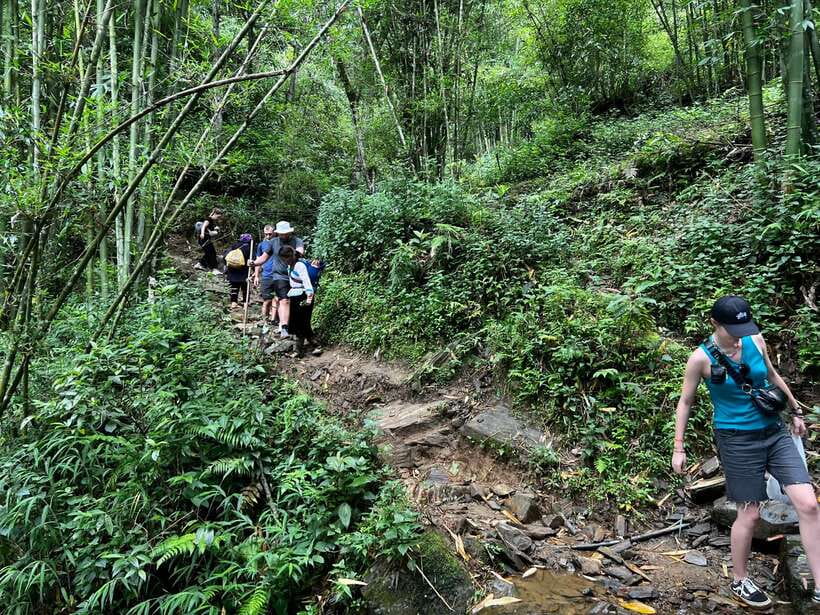 From Sa Pa: Full Day Trek of Fansipan Mountain - Who this fits, and who should sit this one out