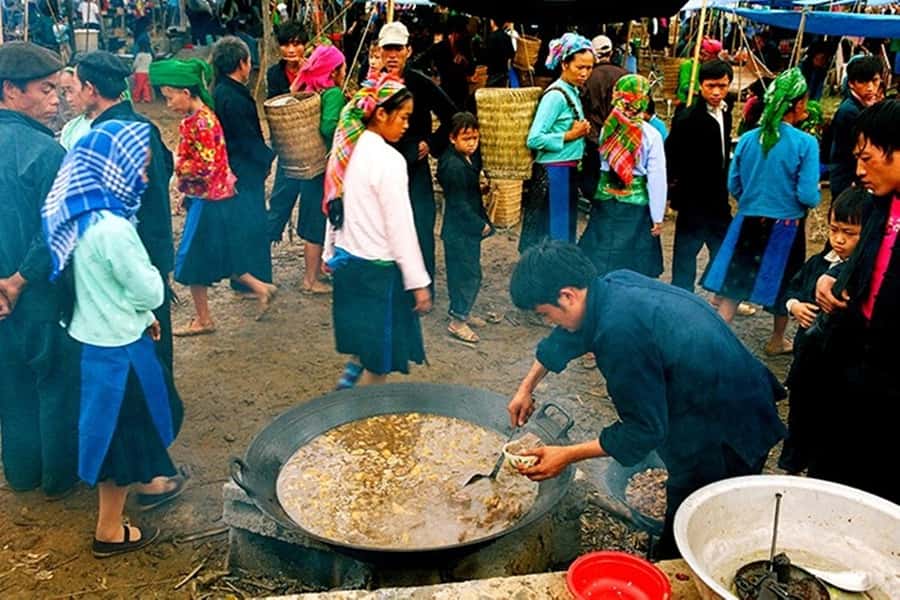 From Sa Pa: Sunday Bac Ha Market Group Tour - The tea farm stop and why it helps you understand the region
