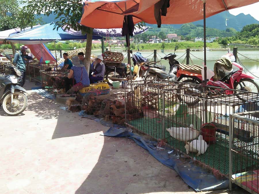 From Sa Pa: Sunday Bac Ha Market Group Tour - Ha Khau border gate, Mau Temple, and respectful travel habits