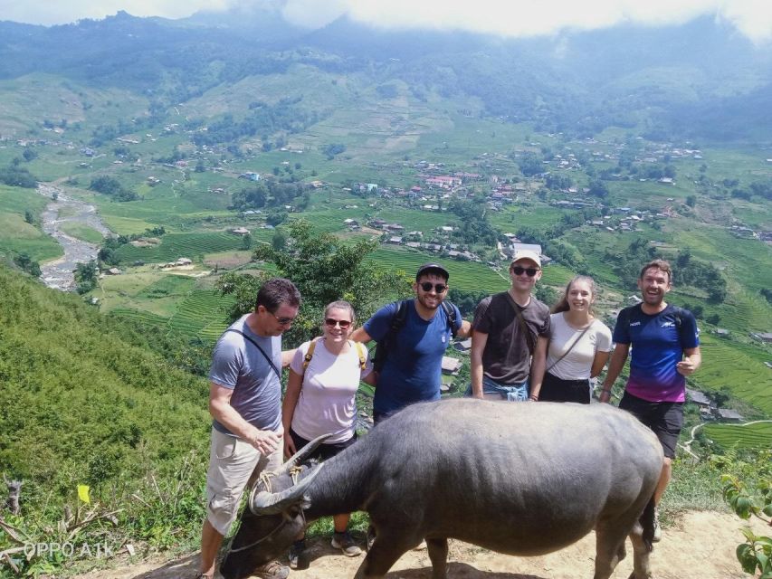 From Sapa : 1 Day Amazing Sapa Trek To Terrace rice field - Key highlights worth your time