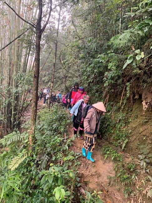 From Sapa : 1 Day Amazing Sapa Trek To Terrace rice field - Terrace fields and the best photo moments (without rushing)