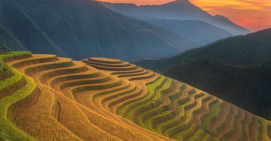 From Sapa: 1-Day Guided Trek to Lao Chai & Ta Van with Lunch - From pickup to rice terraces, this day moves at a human pace